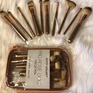 Pro Rose Gold 10pc Brush Set